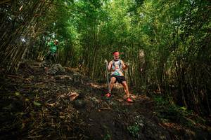 BIB: 
                            <button type="button" onclick="openModal(25099833)" class="btn btn-primary btn-sm float-right btn-popup" data-toggle="modal" data-target=".modal-high-quality">
                        <i class="fas fa-shopping-cart"></i> Add to Cart
                    </button>
                                            <button type="button" onclick="isThisMe(25099833, true)" class="btn btn-success btn-sm float-right btn-popup btn-isme hidden" data-toggle="tooltip" data-placement="bottom" title="นี่คือรูปของคุณใช่ไหม คลิกที่นี่เพื่อเอาเข้าอัลบั้ม">
                        <i class="fas fa-plus"></i> Add to album
                    </button>
                    <button type="button" onclick="isThisMe(25099833, false)" class="btn btn-warning btn-sm float-right btn-popup btn-isnotme hidden">
                        <i class="fas fa-ban"></i> Remove from album
                    </button>